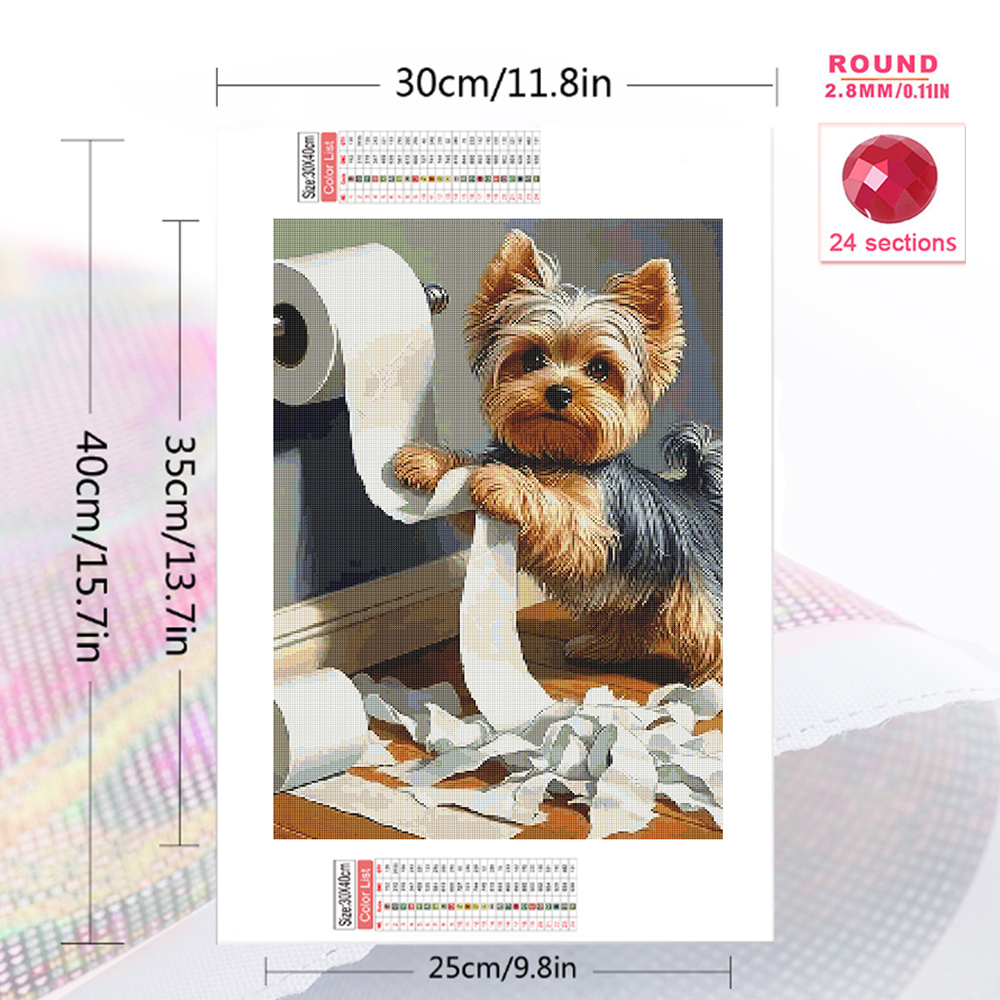1pc frameloze Diamond Art Schi - Embroidery Wall Art recensie en prijs