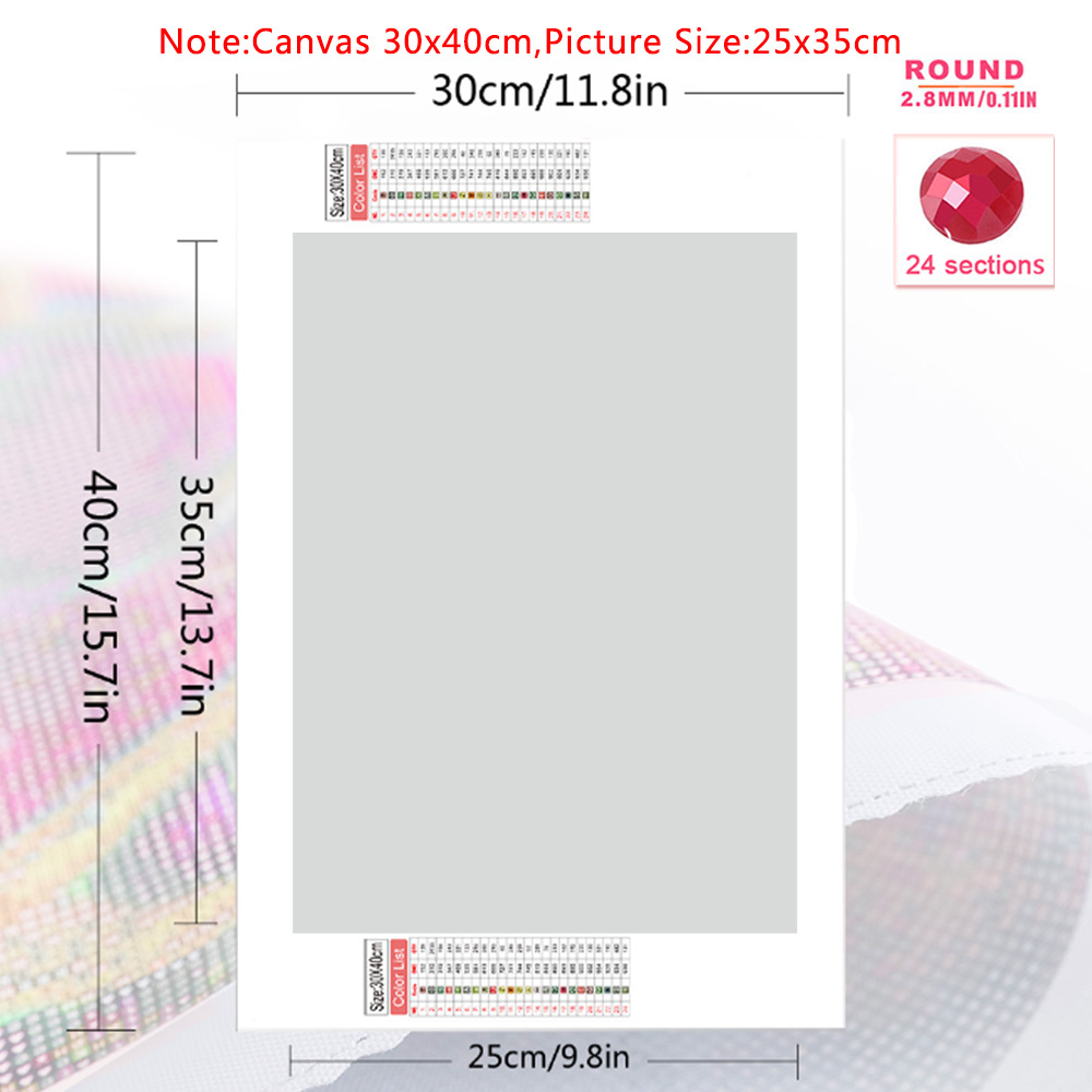 1pc frameloze Diamond Art Schi - Embroidery Wall Art recensie en prijs